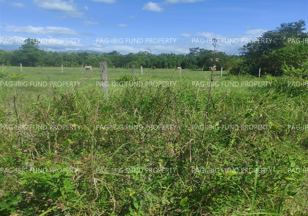 Image for Lot 28 Blk. 18 Dona Rosario Heights Payompon, Mamburao (Capital), Occidental Mindoro, 5106