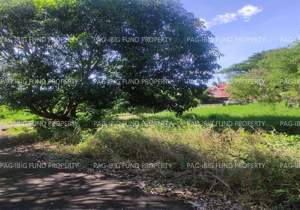 Image for Lot 10 Blk. 9 Augustus Exclusive Estate Mabini, San Jose, Occidental Mindoro, 5100