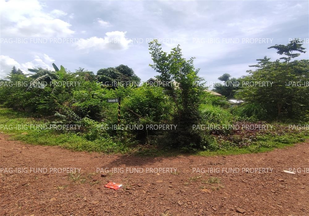 Image for Lot 2 Blk. 7 Non-Subdivision San Jose, Puerto Princesa City, Palawan, 5300