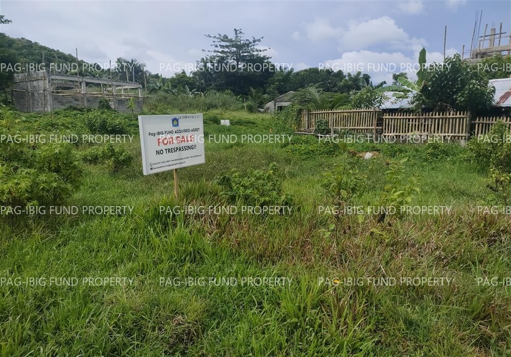 Image for Lot 2478-B-3-B-2-F Blk. Psd-06-082480 Olano Subdivision Bolo, Roxas City, Capiz, 5800