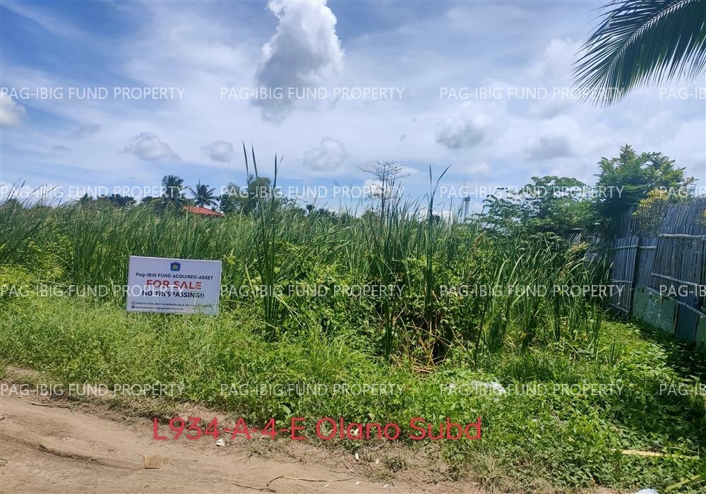 Image for Lot 934-a-4-E Olano Subdivision Mongpong, Roxas City, Capiz, 5800
