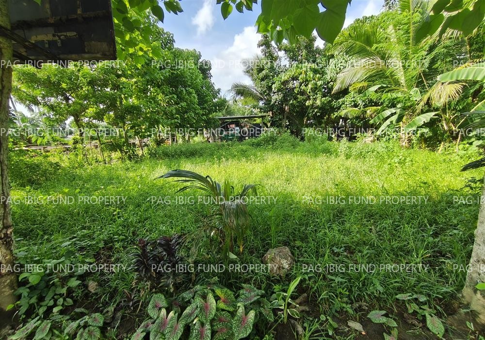 Image for Lot 3738-D-4 Blk. Psd-06-072834 Linao, Panay, Capiz, 5801