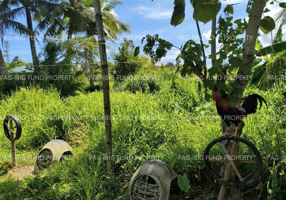 Image for Lot 3795-D-3-E Blk. Psd-411410 Cagay, Roxas City, Capiz, 5800