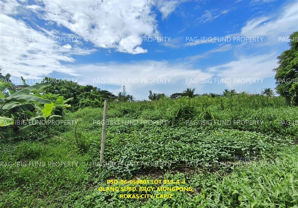 Image for Lot 939-a-4 Blk. Psd-06-058801 Olano Subd. Mongpong, Roxas City, Capiz, 5800
