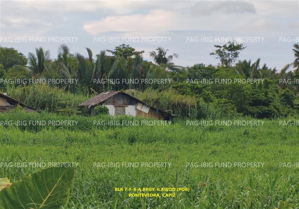 Image for Blk. 7-F-8-a Ilawod (Pob.), Pontevedra, Capiz, 5802