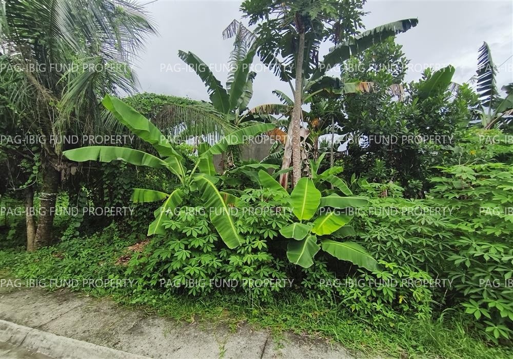 Image for Lot 1 Blk. 3 Happy Homes 1 Sibaguan, Roxas City, Capiz, 5800