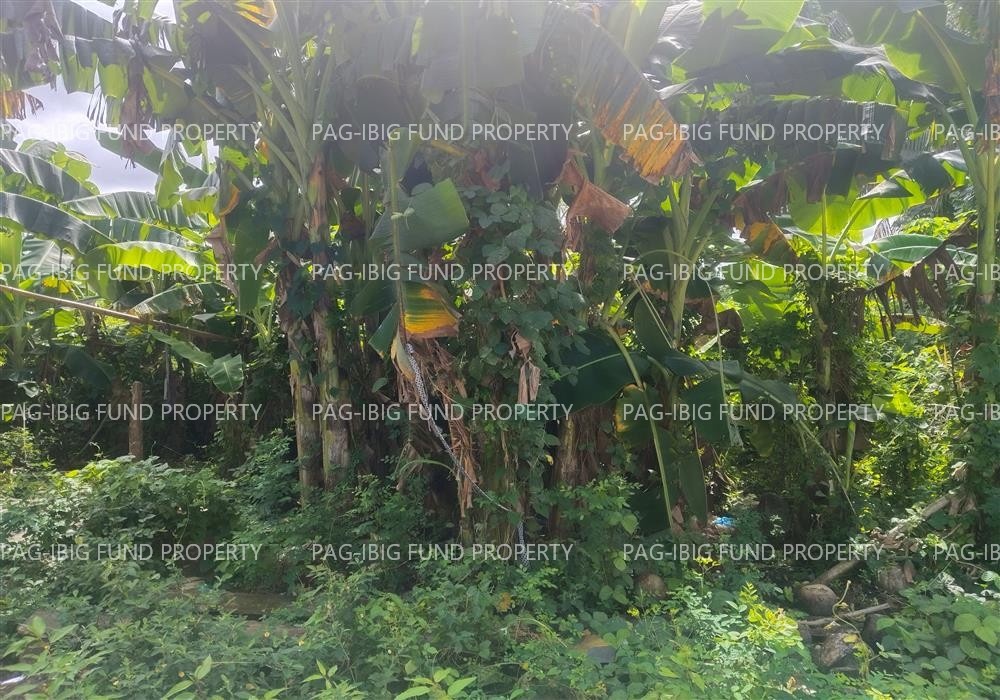 Image for Lot L933-I-2 Banica, Roxas City, Capiz, 5800