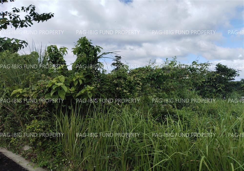 Image for Lot 23 Blk. 16 Verdant Meadows Dinginan, Roxas City, Capiz, 5800