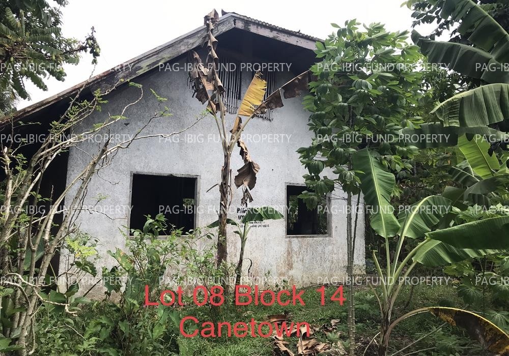 Image for Lot 08 Blk. 14 Canetown Subdivision N/a, Victorias City, Negros Occidental, 0000