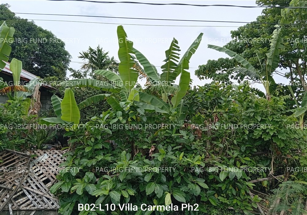Image for Lot 10 Blk. 2 None Bubog, Talisay City, Negros Occidental, 6115