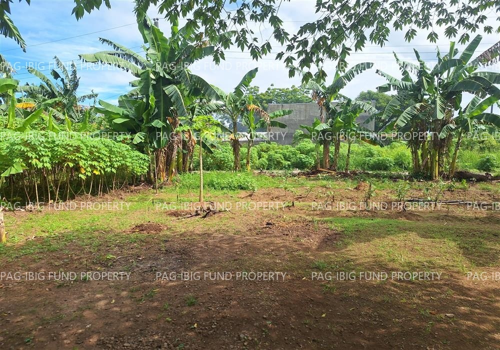 Image for Lot 09 Blk. 16 Phase 2 Villa Cristeta Subdivision Ma-Ao Barrio, Bago City, Negros Occidental, 6101