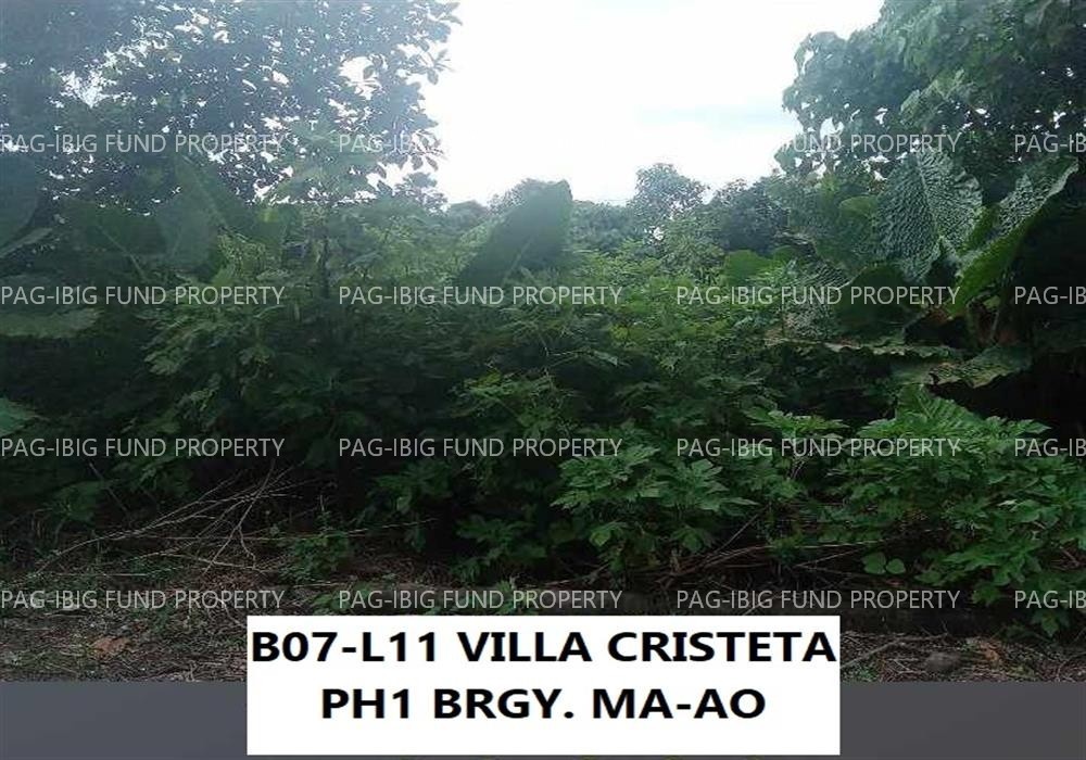 Image for Lot 11 Blk. 7 Phase 1 Villa Cristeta Subdivision Ma-Ao Barrio, Bago City, Negros Occidental, 6101