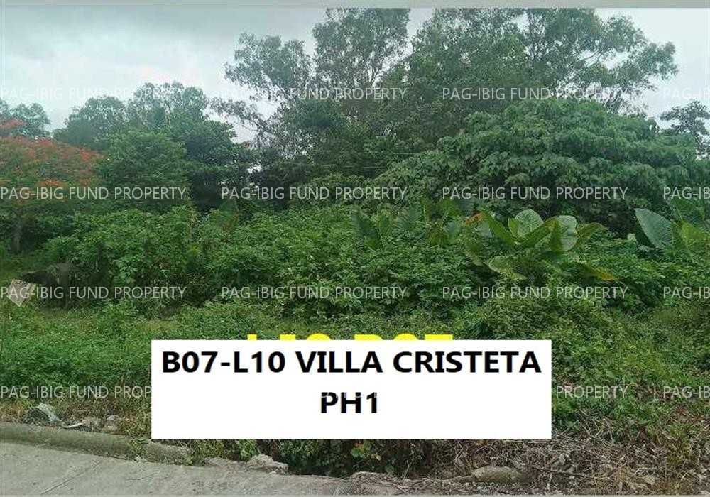 Image for Lot 10 Blk. 7 Phase 1 Villa Cristeta Subdivision Ma-Ao Barrio, Bago City, Negros Occidental, 6101