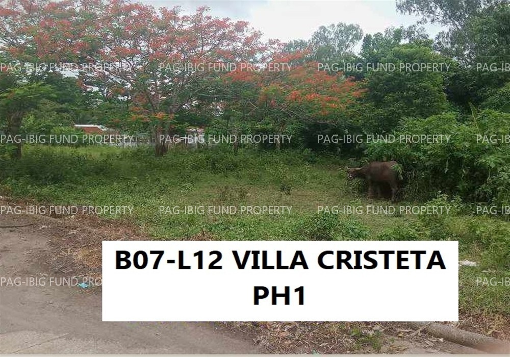 Image for Lot 12 Blk. 7 Phase 1 Villa Cristeta Subdivision Ma-Ao Barrio, Bago City, Negros Occidental, 6101