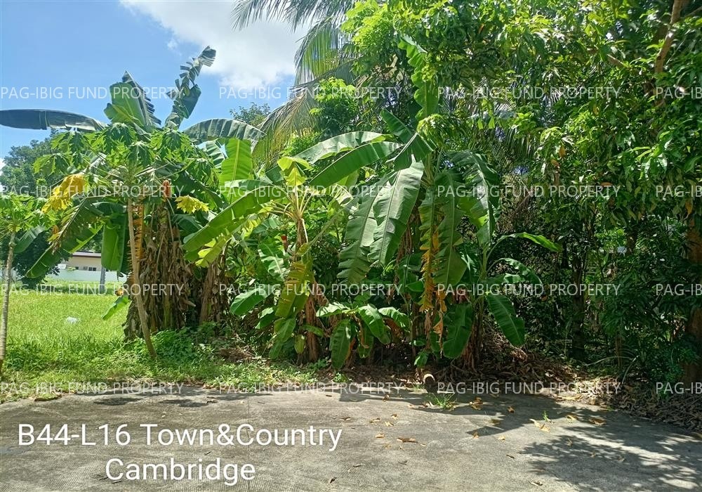 Image for Lot 16 Blk. 44 Town & Country Matab-Ang, Talisay City, Negros Occidental, 6115