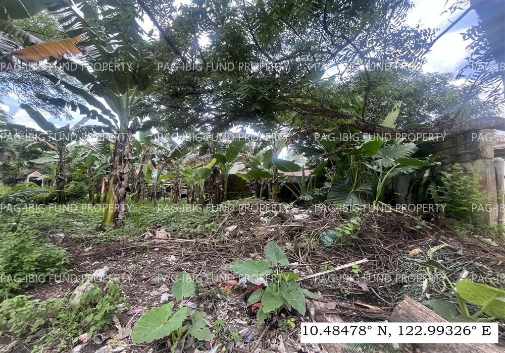 Image for Lot 24 Blk. 8 Villa Cristeta Subdivision Ma-Ao Barrio, Bago City, Negros Occidental, 6101