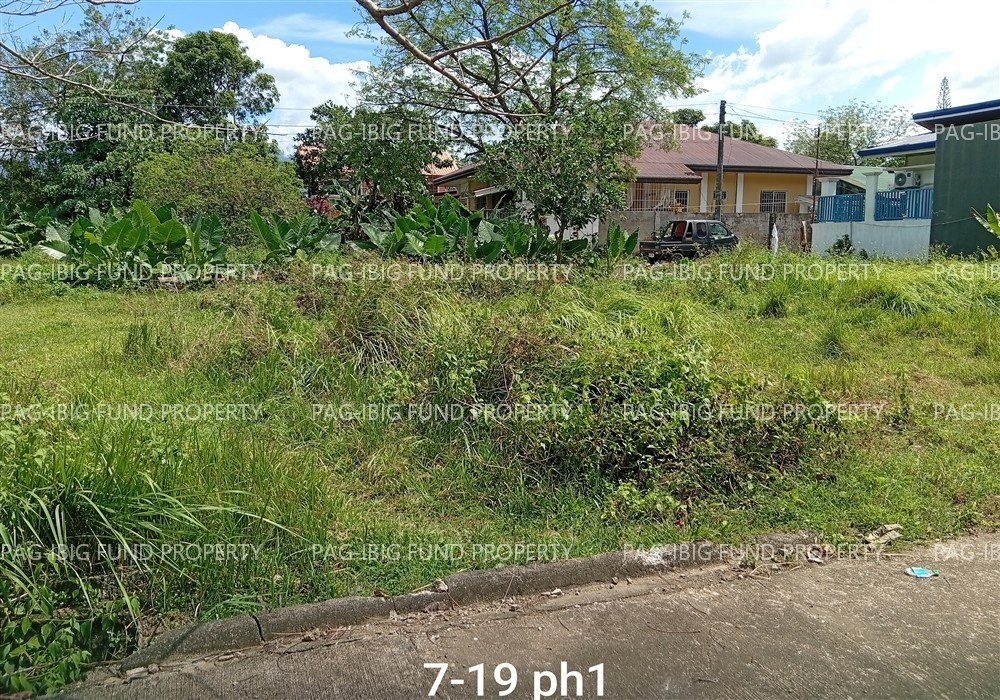 Image for Lot 19 Blk. 7 Villa Cristeta Subdivision Ma-Ao Barrio, Bago City, Negros Occidental, 6101