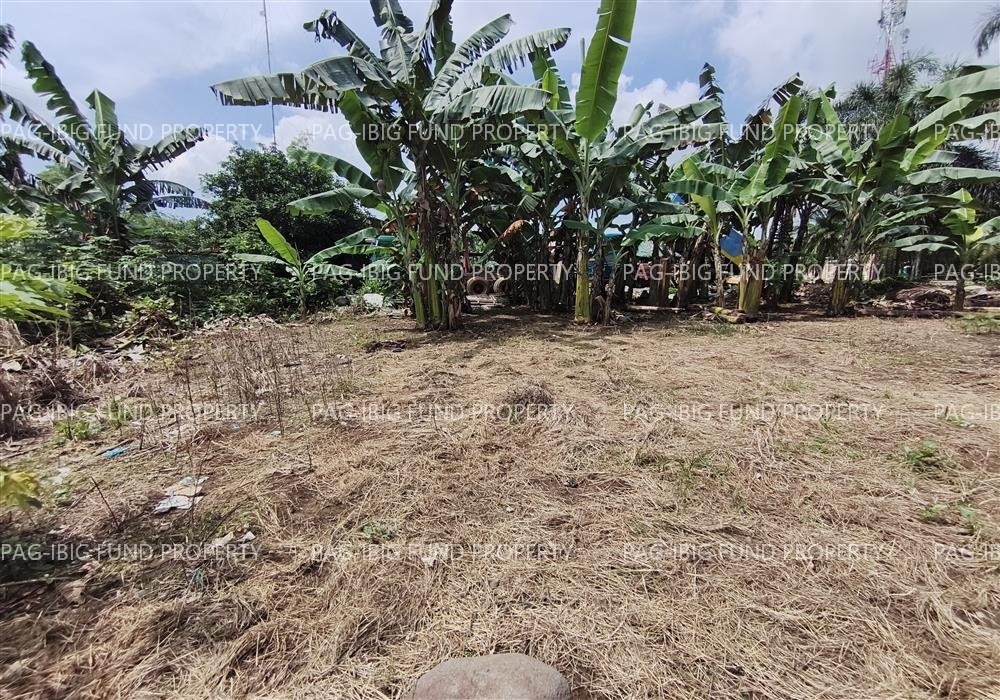 Image for Lot 8 Blk. 1 Phase 2 Villa Cristeta Subdivision Ma-Ao Barrio, Bago City, Negros Occidental, 6101