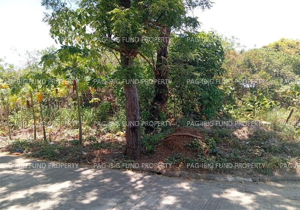 Image for Lot 2 Blk. 10 Villa Cristeta Subdivision Ma-Ao Barrio, Bago City, Negros Occidental, 6101