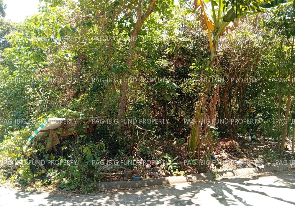 Image for Lot 1 Blk. 10 Villa Cristeta Subdivision Ma-Ao Barrio, Bago City, Negros Occidental, 6101