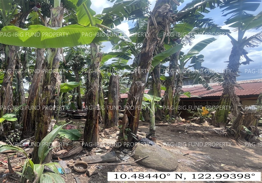 Image for Lot 11 Blk. 6 Villa Cristeta Subdivision Ma-Ao Barrio, Bago City, Negros Occidental, 6101