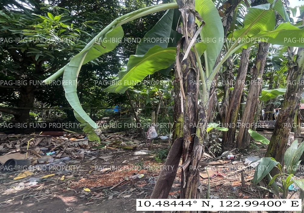 Image for Lot 9 Blk. 6 Villa Cristeta Subdivision Ma-Ao Barrio, Bago City, Negros Occidental, 6101