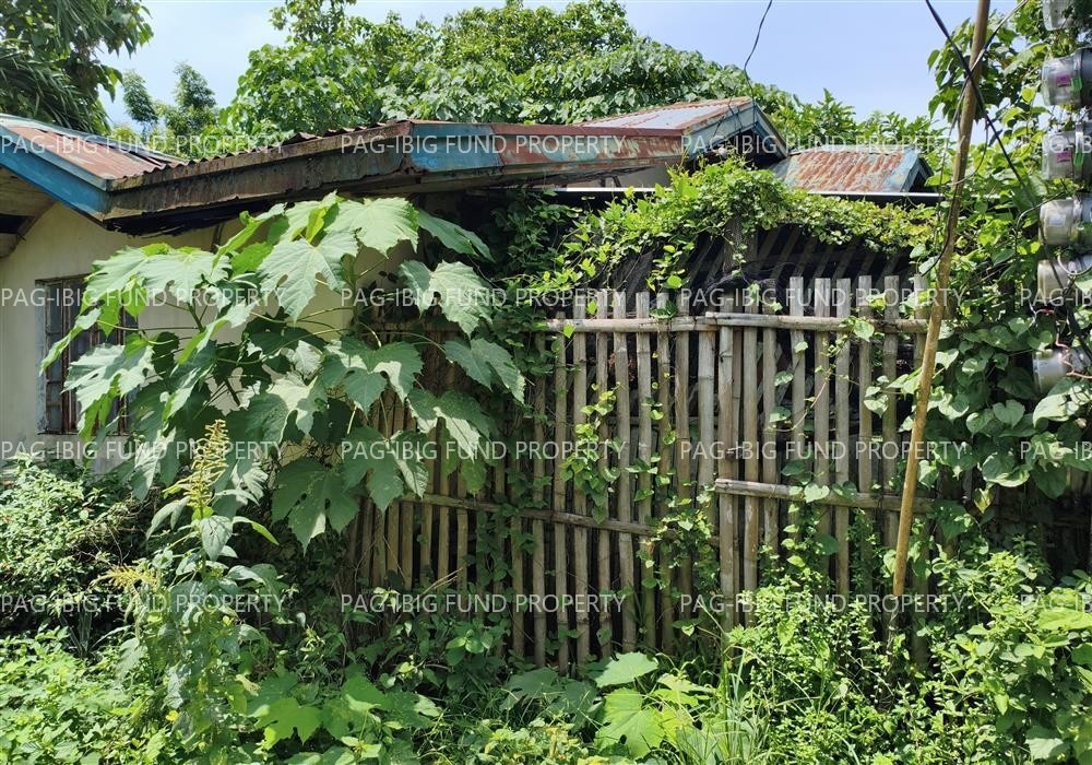 Image for Lot 23 Blk. 3 Villa Rosa Subd. Dulao, Bago City, Negros Occidental, 6101