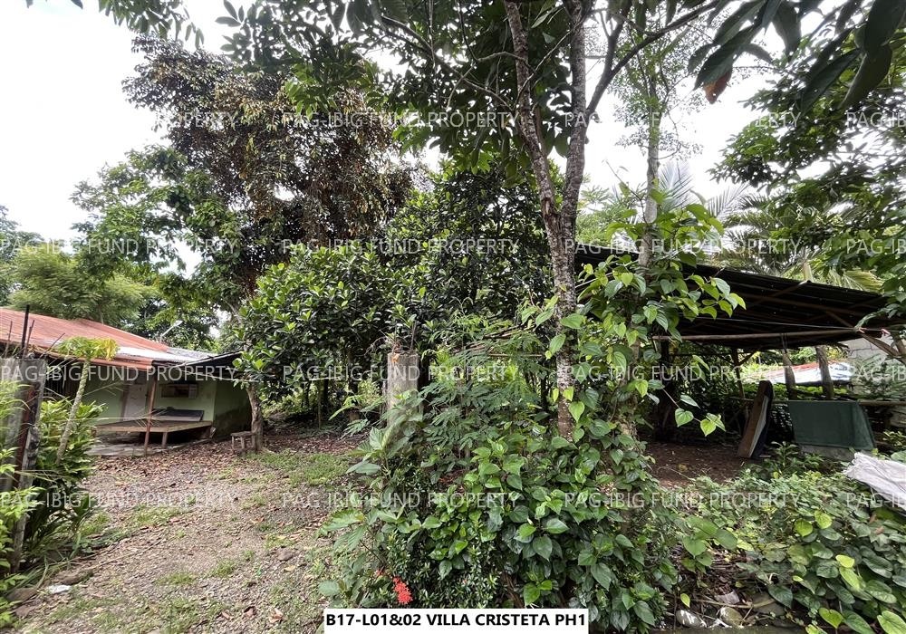 Image for Lot 1 Blk. 17 Villa Cristeta Subdivision Ma-Ao Barrio, Bago City, Negros Occidental, 6101