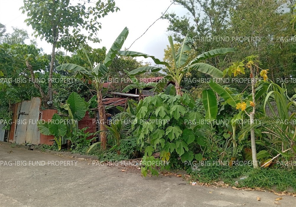 Image for Lot 2 Blk. 6 Villa Cristeta Subdivision Ma-Ao Barrio, Bago City, Negros Occidental, 6101