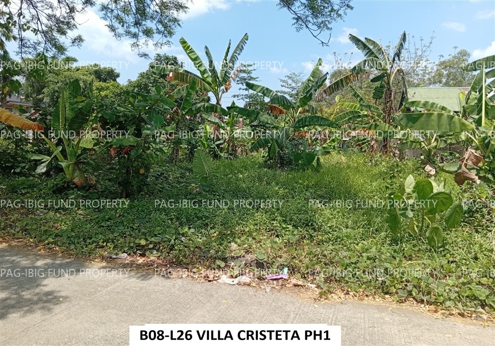Image for Lot 26 Blk. 8 Villa Cristeta Subdivision Ma-Ao Barrio, Bago City, Negros Occidental, 6101
