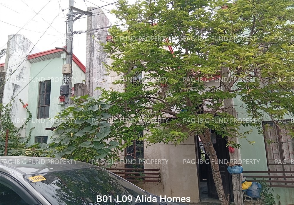 Image for Lot 9 Blk. 1 Alida Homes Rizal, Silay City, Negros Occidental, 6116