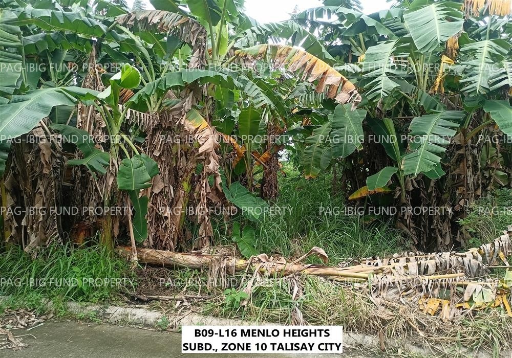Image for Lot 4 Blk. 5 Menlo Heights Subdivision Zone 10 (Pob.), Talisay City, Negros Occidental, 6115
