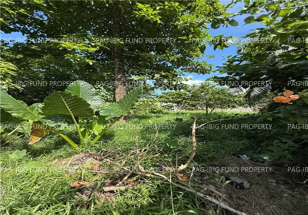 Image for Lot 7-B-2 Poblacion II (Barangay 2), Enrique B. Magalona (Saravia), Negros Occidental, 6118
