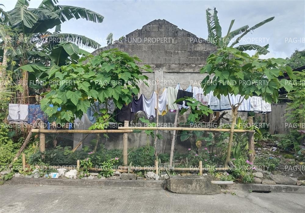 Image for Lot 9 Blk. 13 Individual Barangay Xiii, Victorias City, Negros Occidental, 6119