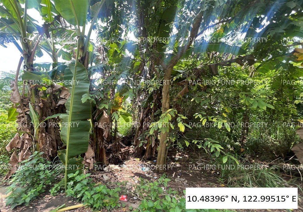 Image for Lot 6 Blk. 10 Villa Cristeta Subdivision Ma-Ao Barrio, Bago City, Negros Occidental, 6101