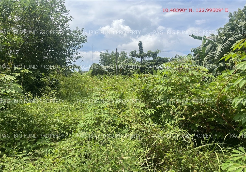 Image for Lot 8 Blk. 10 Villa Cristeta Subdivision Ma-Ao Barrio, Bago City, Negros Occidental, 6101