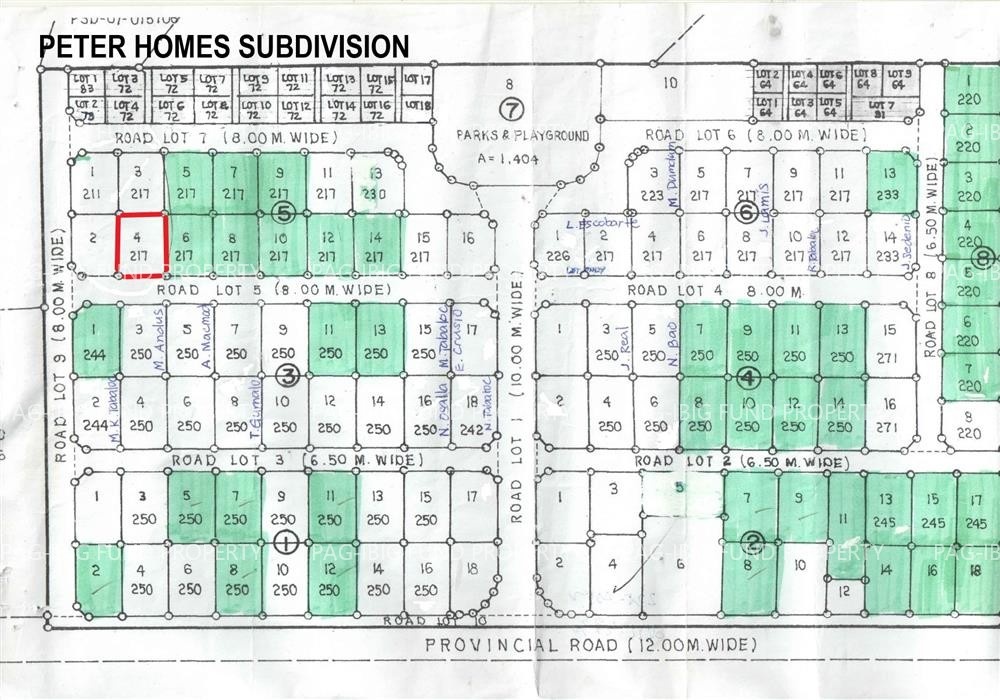 Image for Lot 4 Blk. 5 Peter Homes Subdivision Bio-Os, Amlan (Ayuquitan), Negros Oriental, 6203