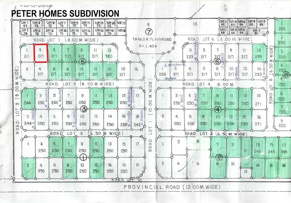 Image for Lot 3 Blk. 5 Peter Homes Subdivision Bio-Os, Amlan (Ayuquitan), Negros Oriental, 6203
