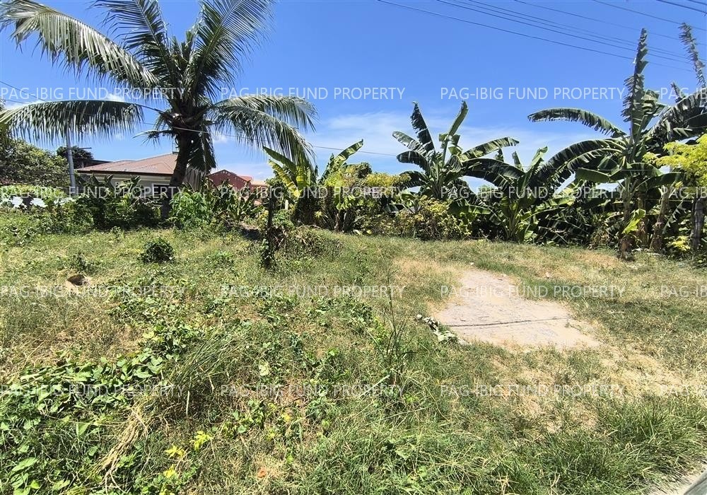 Image for Lot 3578-S Rustyville Subdivision Candulawan, Talisay City, Cebu, 6045