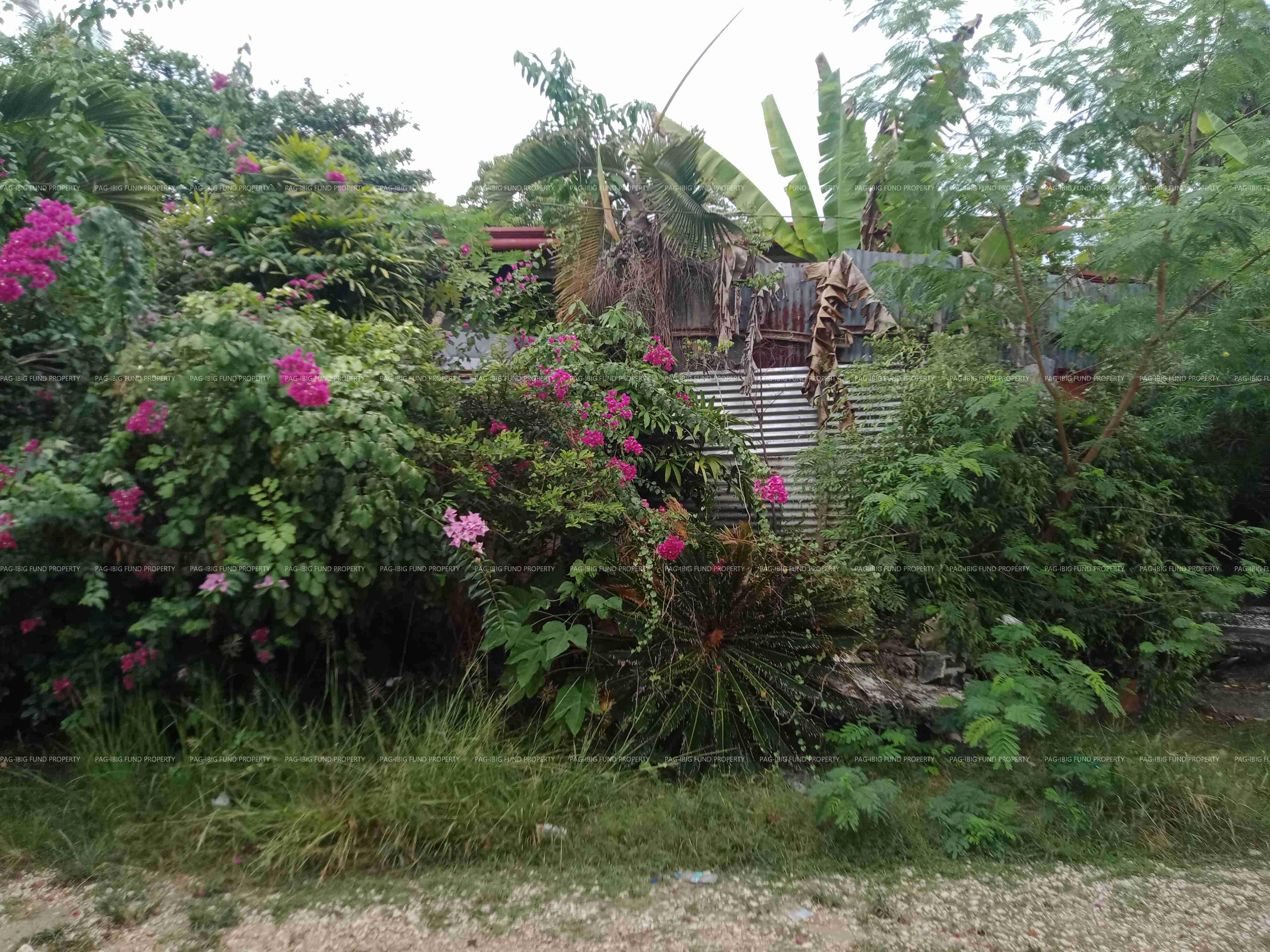 Image for Lot 13 Blk. 2 Non Subdivision Cogon (Pob.), Bogo City, Cebu, 6010