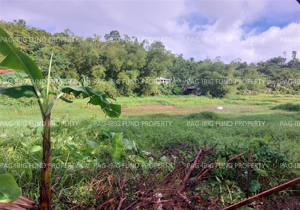 Image for Lot 2209-1-3-B Barangay 110 (Utap), Tacloban City, Leyte, 6500