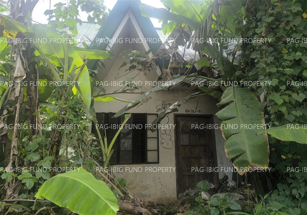 Image for Lot 6 Blk. 1 Peerless Village Barangay 93 (Bagacay), Tacloban City, Leyte, 6500