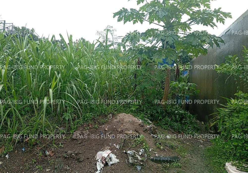 Image for Lot 5 Blk. 40 Peerless Village Barangay 93 (Bagacay), Tacloban City, Leyte, 6500