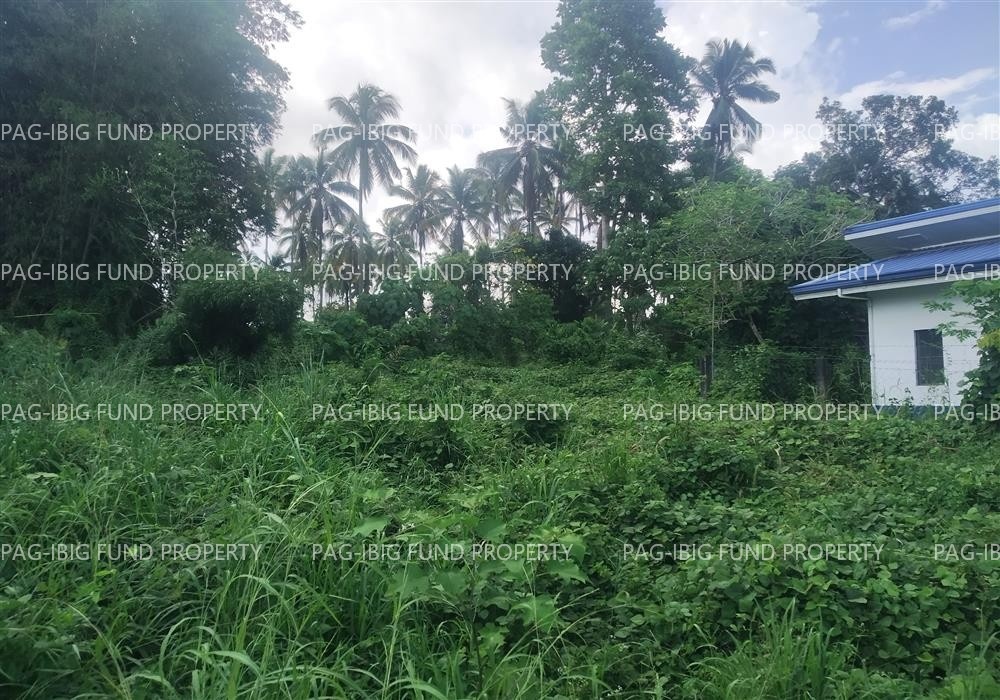 Image for Lot 292-D-2-C Sitio Mahayahay Non Subdivision Dao, Pagadian City, Zamboanga Del Sur, 7016