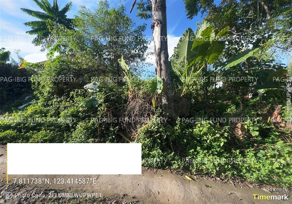 Image for Lot 6032-B-4 None Napolan, Pagadian City, Zamboanga Del Sur, 7016