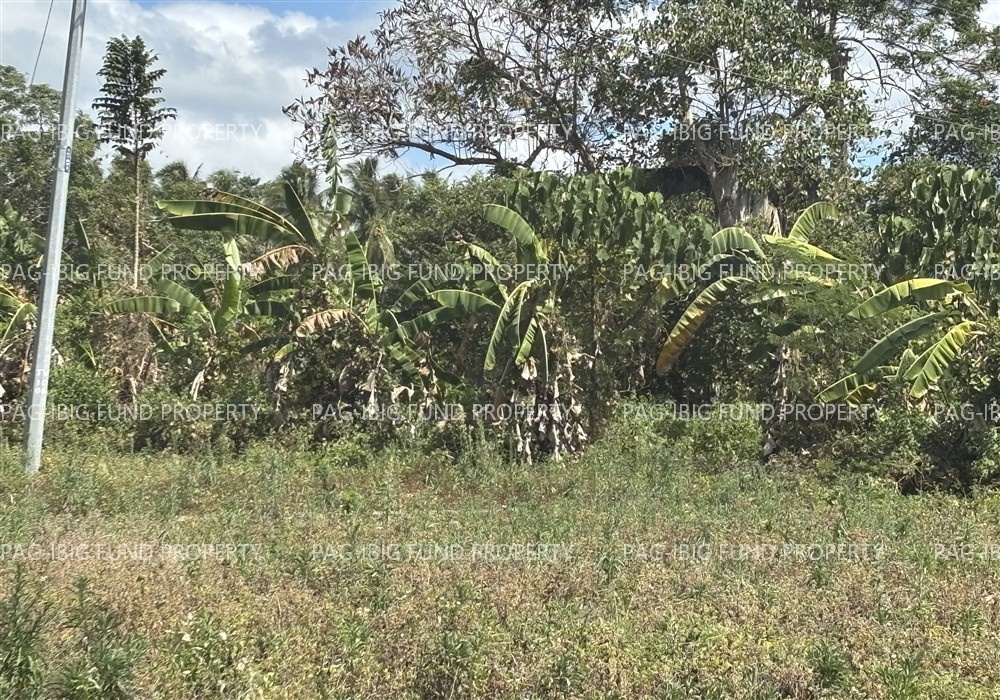 Image for Lot 292A1B3/B4 None Manga, Pagadian City, Zamboanga Del Sur, 7016