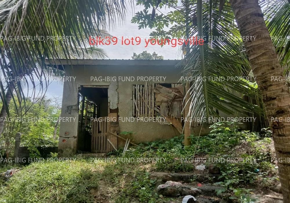 Image for Lot 9 Blk. 39 Youngsville Subd. PH. I Igpit, Opol, Misamis Oriental, 9016