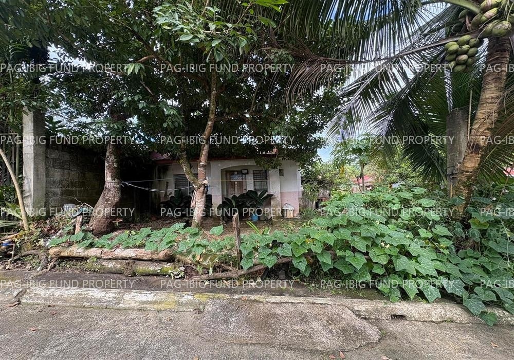 Image for Lot 09 Blk. 08 Tropical Heights Subd. Bayugan 2, San Francisco, Agusan Del Sur, 8501