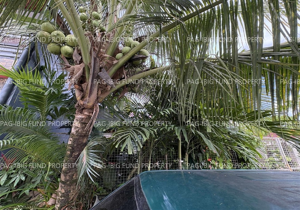 Image for Lot 4 Blk. 6 Tropical Heights Subd. Bayugan 2, San Francisco, Agusan Del Sur, 8501