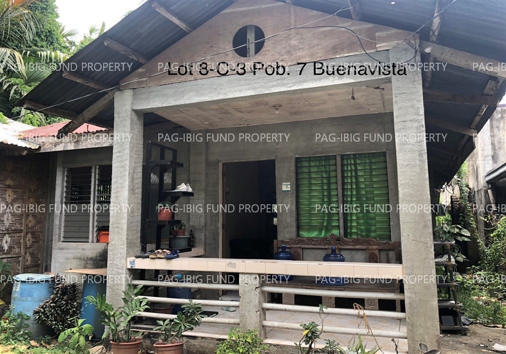 Image for Lot 8-C-3 Individual Poblacion 7, Buenavista, Agusan Del Norte, 8601